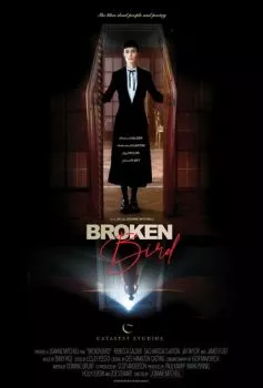 Раненая пташка